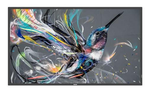 Monitor signage Philips 55" Q-Line; 18/7, 4K UHD, basic failover, USBauto play, CMND &Control, Smart Player, LAN