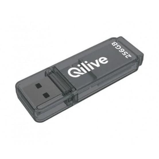 Memorie USB EMTEC K100 256 GB, USB 3.1, Gri