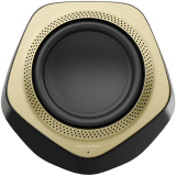 Beolab 19 Speaker Black (Frame Brass Tone)