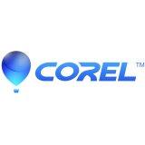 CorelDRAW Graphics Suite Single User 365-Day Subscription Renewal