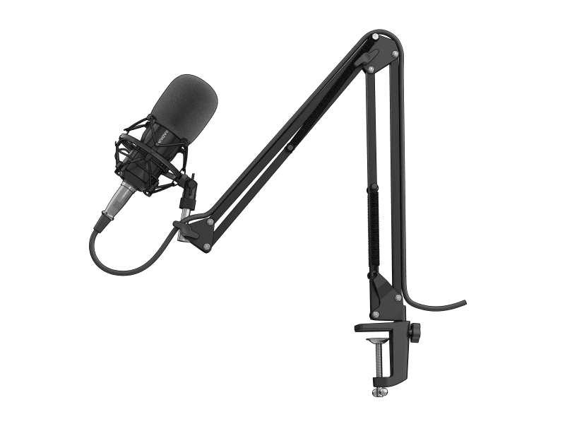 Microfon GENESIS Radium 300 XLR, tip Condenser, USB/3.5 mm