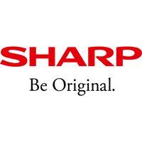 Sharp staple finisher with hole punch